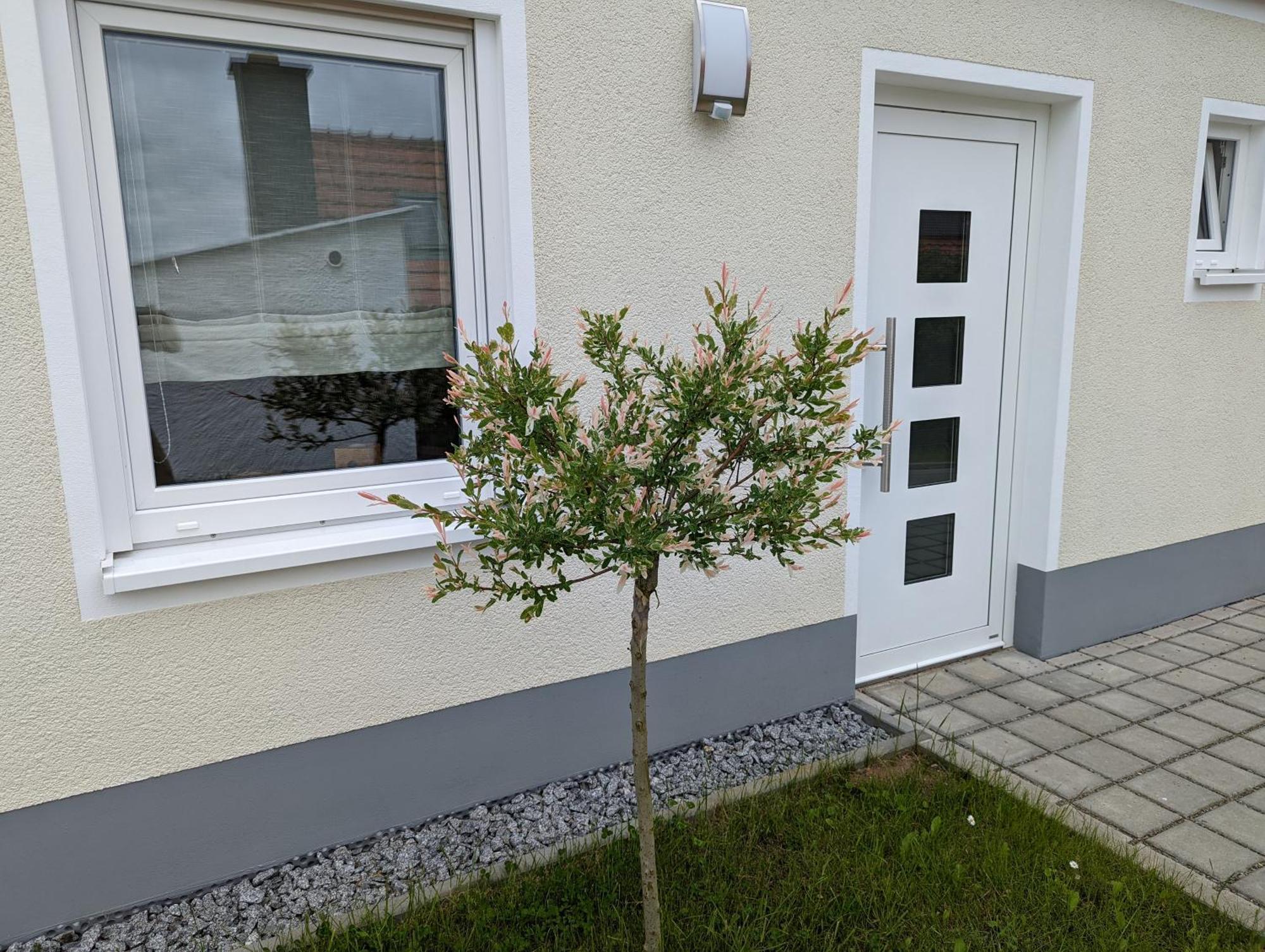 Ferienhaus Zum Kuckuck, Wng 2, Urlaub Im Eichsfeld Kallmerode Exterior photo